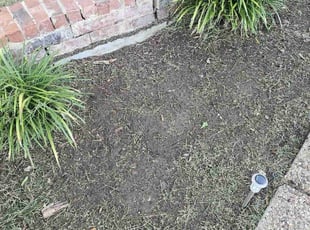 Brent O.'s Flower Bed Weeding service result