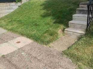 George O.'s turf care service result