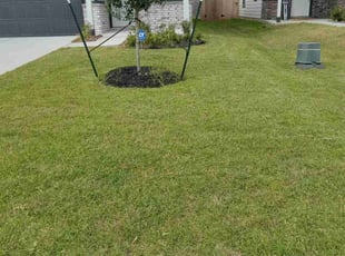 Beverly L.'s lawn care services service result