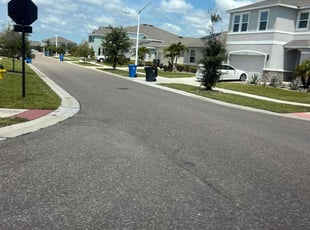 Jen L.'s turf care service result
