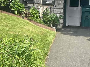 Dave S.'s landscaping services service result