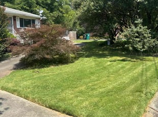 Ashley C.'s turf maintenance service result