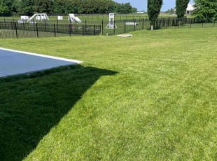 Harry L.'s lawn maintenance service result
