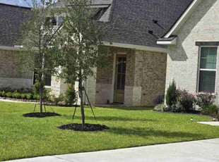 Tarakesh P.'s landscaping service result
