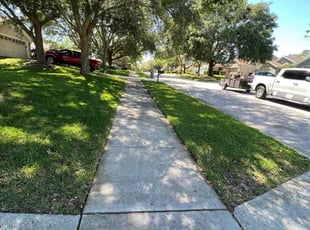 Elizabeth L.'s gardening service service result