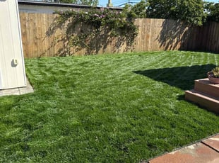 Gemar J.'s turf maintenance service result