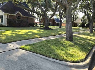 Brian A.'s lawn service service result