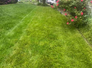 Stan D.'s lawn service service result