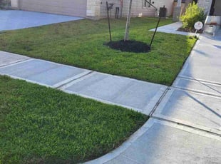 Dona P.'s turf maintenance service result