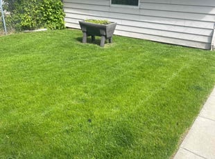 Kimere W.'s grass cutting service result