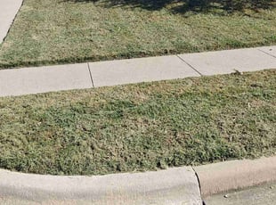 Diann S.'s lawn maintenance service result