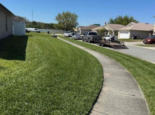 Chris H.'s lawn service service result