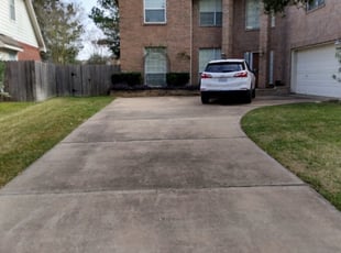 David M.'s Bush Trimming service result