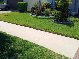 Shaquana H.'s turf care service result