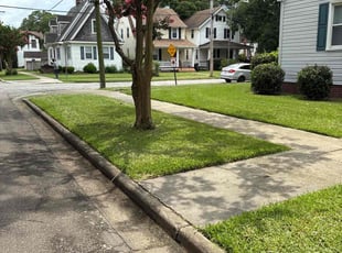 Sonali S.'s lawn service service result