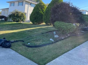 Gianna M.'s lawn maintenance service result