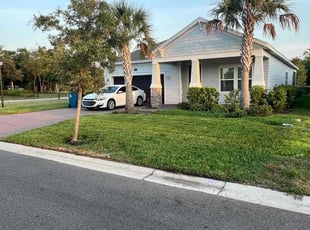 Sonia A.'s grass cutting service result