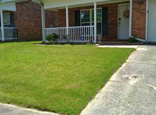 Chris N.'s lawn care service result