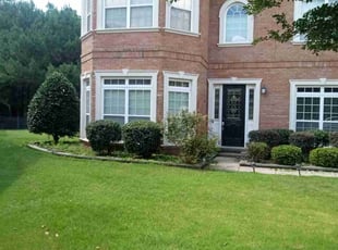 Jackie H.'s Bush Trimming service result