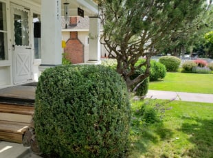Howard M.'s Bush Trimming service result