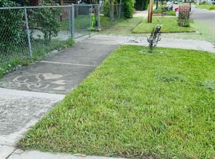 Neysa R.'s grass cutting service result