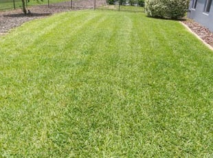 Shanna B.'s turf maintenance service result