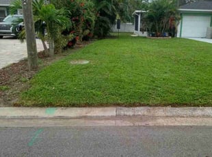Jonathan G.'s grass maintenance service result