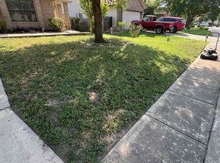 Darryl J.'s Leaf Removal service result