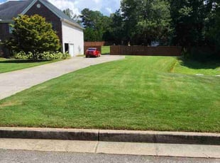 Kasey I.'s lawn care services service result