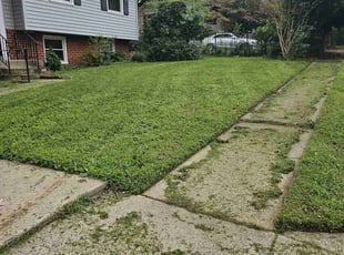 Francine D.'s lawn maintenance service result
