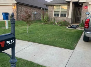 Monica N.'s grass cutting service result