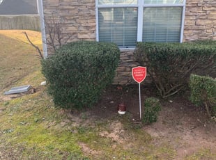 Diana K.'s Bush Trimming service result