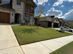 Adrian H.'s lawn service service result