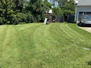 Richard B.'s lawn care service result