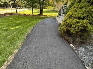 Leza M.'s lawn care services service result