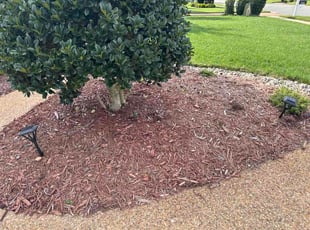 Kai C.'s Flower Bed Weeding service result