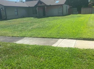 Robert R.'s grass maintenance service result