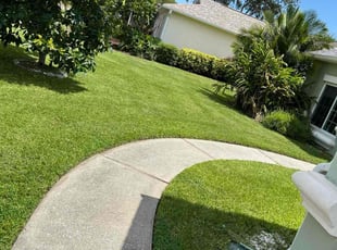 Meaghan C.'s lawn service service result