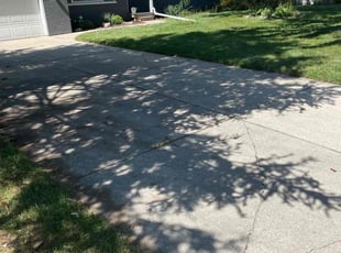Tishi R.'s grass maintenance service result