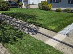 Frank H.'s lawn maintenance service result