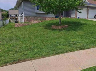 Martin L.'s grass cutting service result