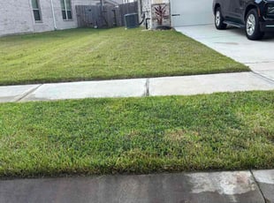 Erin K.'s turf care service result