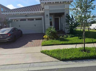 Brianna B.'s grass cutting service result