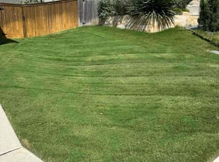 Mary K.'s turf maintenance service result