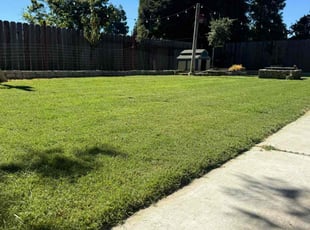 Eric W.'s turf maintenance service result