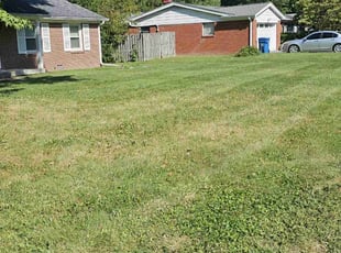 Chris M.'s turf maintenance service result