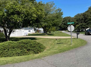 Brian D.'s grass cutting service result