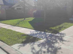 Genny B.'s turf maintenance service result