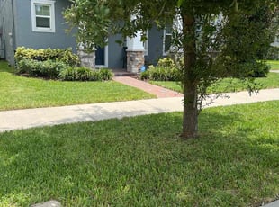 Gregory P.'s turf care service result
