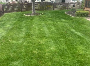 Dakota L.'s lawn maintenance service result